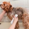 4 In 1 Electric Pet Dog Cat Grooming Kit Cordless Rechargeable Pet Hair Trimmer