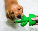 Cactus Shape Dog Toothbrush Stick Puppy Dental Care Brushing Stick Effective Doggy Teeth Cleaning Massager Natural Rubber Bite Resistant Chew Toys