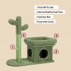 Fully Wrapped  2 In1 Cactus Cat Tree Condo With Dangling Ball