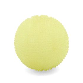 luminous dog toy ball (Color: basketball)