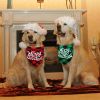 Christmas pet saliva towel diy dog triangle plaid scarf large dog cat jewelry