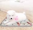 Pet Heating Pad Dog Electric Waterproof Mat Warming Bed Indoor Heated Bed