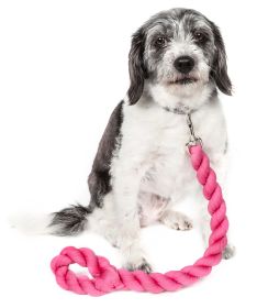 Pet Life Tough-Tugger Industrial-Strength Shock Absorption Woven Dog Leash (Color: Pink)