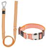 Pet Life 'Escapade' Outdoor Series 2-in-1 Convertible Dog Leash and Collar