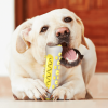 Chewing Toy for Dogs