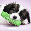 Chewing Toy for Dogs