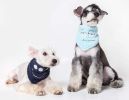 Touchdog 'Dizzy-Eyed Cyclops' Cotton Velcro Dog Bandana and Scarf
