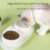 Elevated Cat Bowls, Raised Cats Ceramic Food and Water Stand Bowl Dishes for Cats Small Dogs or Puppy, 15Â° Tilted Anti Vomiting Stress Free Feeder De