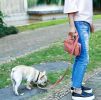 Pet Life 'Posh Walk' Purse Dog Leash, Accessory Holder and Waste Bag Dispenser