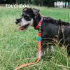 Touchdog 'Trendzy' 2-in-1 Matching Fashion Designer Printed Dog Leash and Collar