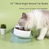 Elevated Cat Bowls, Raised Cats Ceramic Food and Water Stand Bowl Dishes for Cats Small Dogs or Puppy, 15Â° Tilted Anti Vomiting Stress Free Feeder De