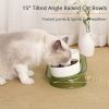 Elevated Cat Bowls, Raised Cats Ceramic Food and Water Stand Bowl Dishes for Cats Small Dogs or Puppy, 15Â° Tilted Anti Vomiting Stress Free Feeder De