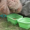 Silicone Collapsible Pet Bowl Double Portable Travel Bowl Equipped with Aluminum Hook Clip