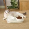 Elevated Cat Bowls, Raised Cats Ceramic Food and Water Stand Bowl Dishes for Cats Small Dogs or Puppy, 15Â° Tilted Anti Vomiting Stress Free Feeder De