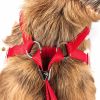 Pet Life Luxe 'Spawling' 2-In-1 Mesh Reversed Adjustable Dog Harness-Leash W/ Fashion Bowtie