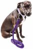 Pet Life 'Aero Mesh' Dual Sided Comfortable And Breathable Adjustable Mesh Dog Leash