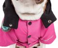 Touchdog Mount Pinnacle Pet Ski Jacket