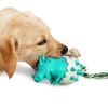 Dog chewing and tear-resistant toothbrush dog toy