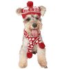 Dog Christmas Reindeer Elk Antlers Headband and Scarf Set Pet Christmas Costume Dog Costumes Accessories for Dogs and Cats