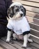 Aspen Winter-White Fashion Pet Parka Coat