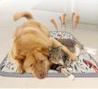 Pet Heating Pad Dog Electric Waterproof Mat Warming Bed Indoor Heated Bed